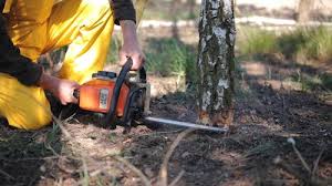 Best Aeration Services  in Moore Haven, FL